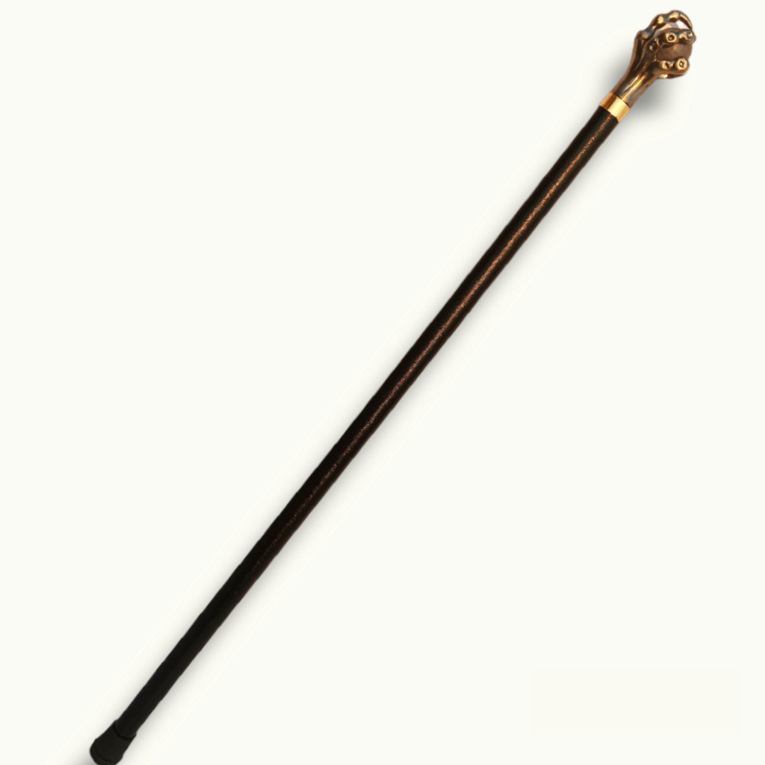 Metal Claw And Ball Walking Stick, Stunning Walking Cane.