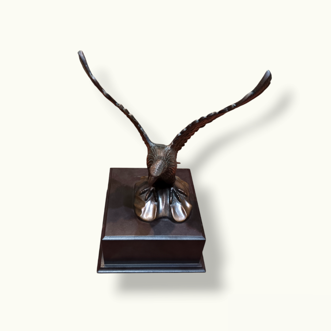 Beautiful Bronze Eagle, Handcrafted Bronze Eagle Sculpture.